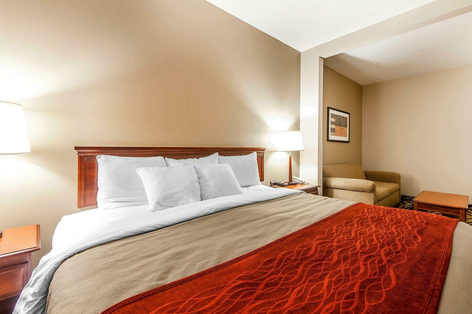 Comfort Inn Downtown Chattanooga Zewnętrze zdjęcie